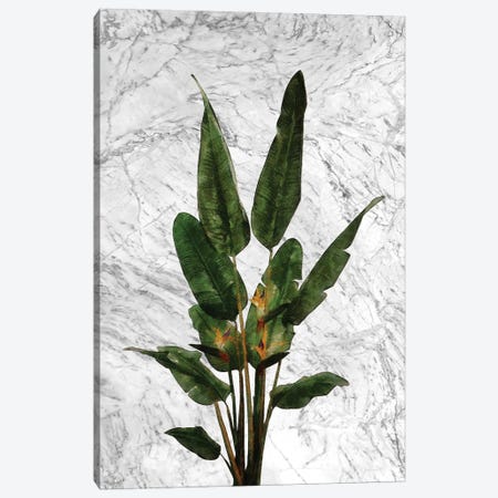 Bird of Paradise Plant on White Marble Canvas Print #AII80} by amini54 Canvas Wall Art