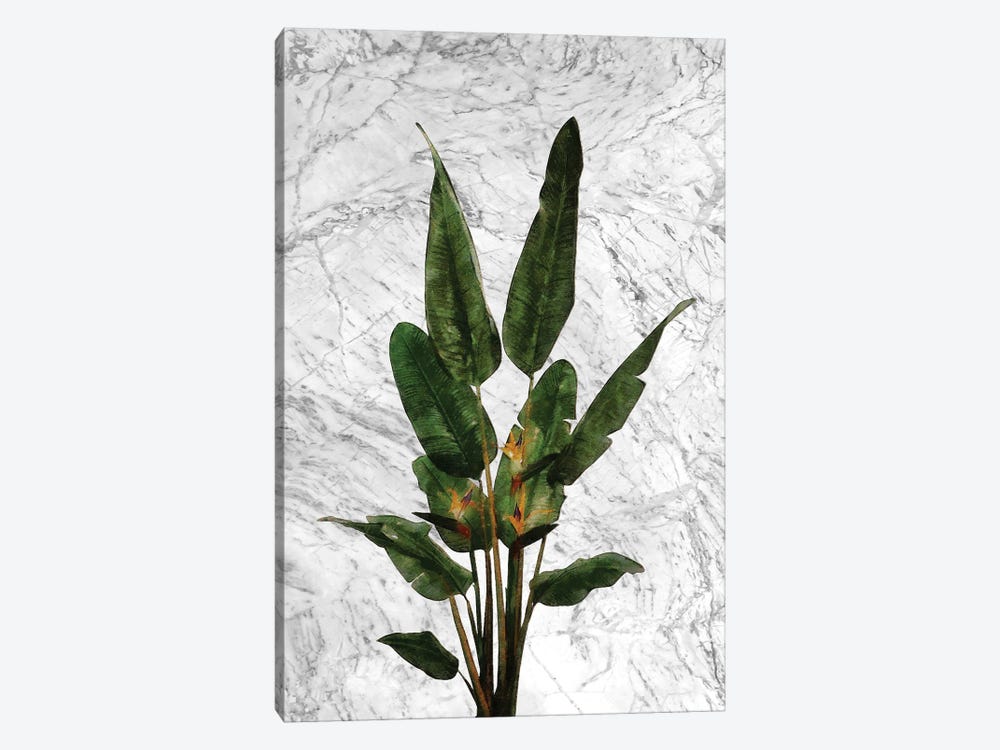Bird of Paradise Plant on White Marble by amini54 1-piece Canvas Print