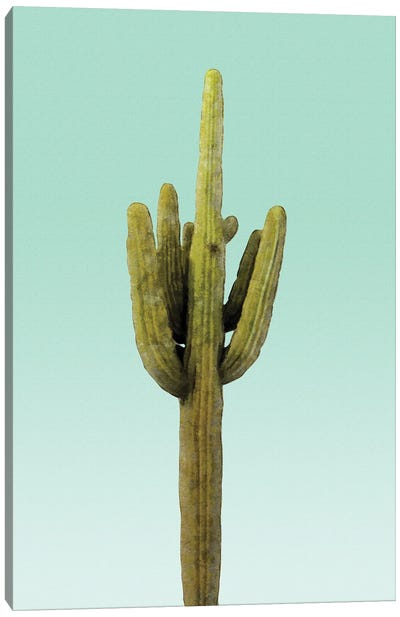 Cactus on Teal Canvas Art Print - amini54