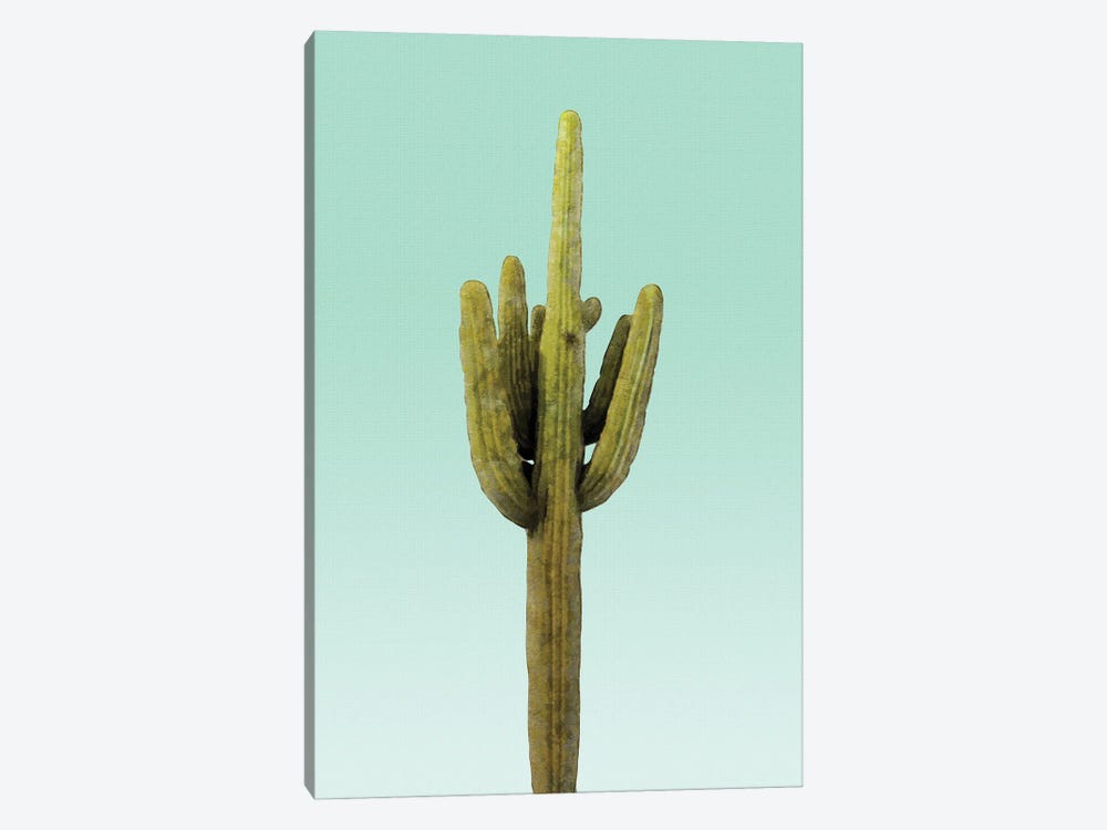 Cactus on Teal by amini54 1-piece Art Print