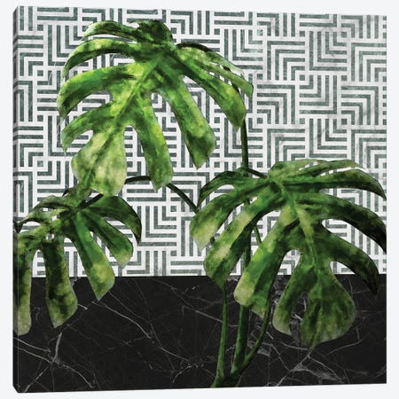 Monstera Leaves on Black Marble and Tiles Canvas Print #AII83} by amini54 Canvas Art