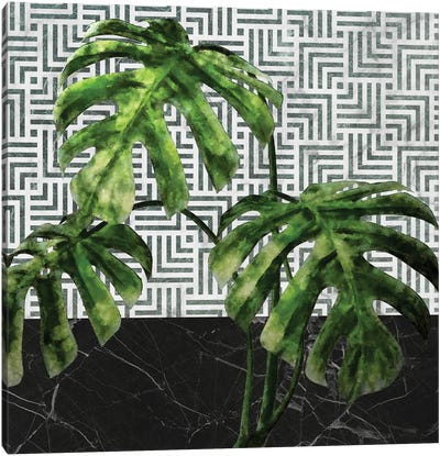 Monstera Leaves on Black Marble and Tiles Canvas Art Print