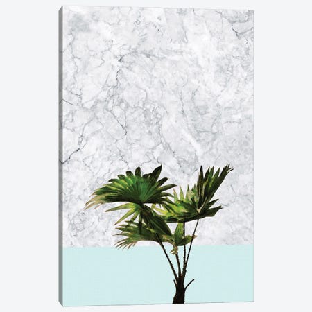 Palm Plant on Marble and Pastel Blue Canvas Print #AII87} by amini54 Canvas Print