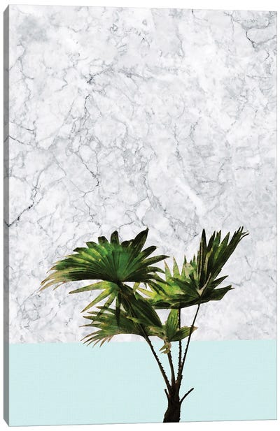 Palm Plant on Marble and Pastel Blue Canvas Art Print - amini54
