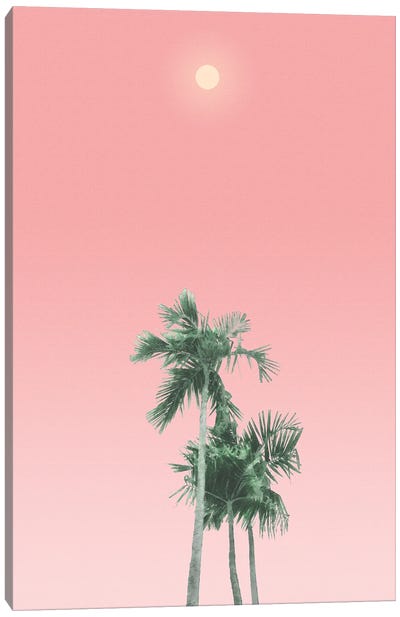 Palm Trees, Sun and Sky Canvas Art Print - amini54
