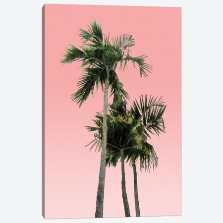 Palm Trees on Pink Wall Canvas Print #AII89} by amini54 Canvas Artwork