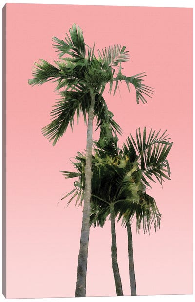 Palm Trees on Pink Wall Canvas Art Print - amini54