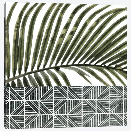Palm Leaves on White Wall and Ceramic Canvas Print #AII90} by amini54 Canvas Print