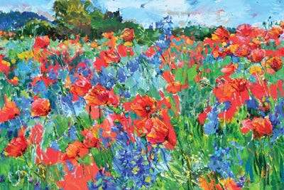 Poppies Field by Andrii Kutsachenko gallery poster