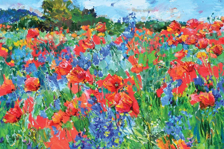 Poppies Field by Andrii Kutsachenko wall art
