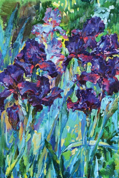 Irises In The Morning Light