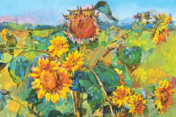 Sunflowers: Sunflower by Andrii Kutsachenko