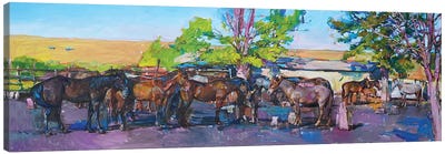 Horses Canvas Art Print - Andrii Kutsachenko