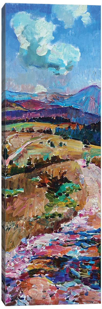 Mountain Road In Summer Canvas Art Print - Andrii Kutsachenko