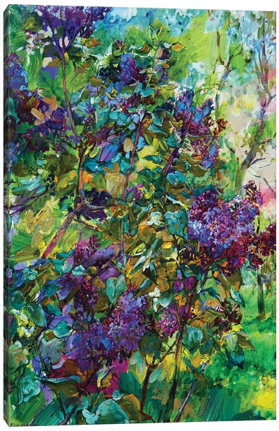 Lilac Flowers Canvas Art Print - Lilac Art