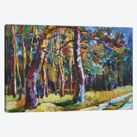 Sunny Forest Canvas Print #AIK32} by Andrii Kutsachenko Canvas Art Print