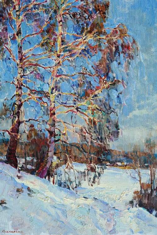 Birch Tree In The Winter