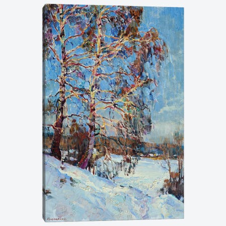 Birch Tree In The Winter Canvas Print #AIK33} by Andrii Kutsachenko Canvas Art Print