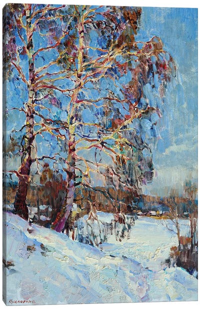 Birch Tree In The Winter Canvas Art Print - Andrii Kutsachenko