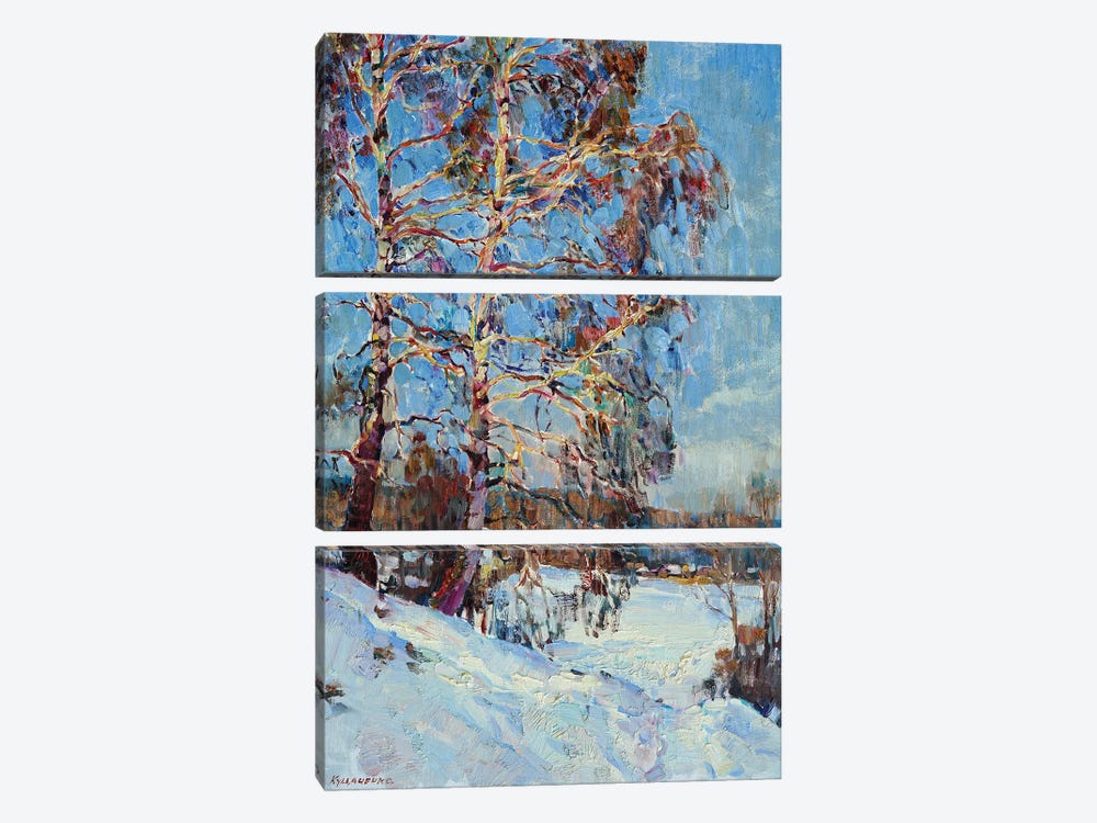 Birch Tree In The Winter by Andrii Kutsachenko 3-piece Canvas Artwork