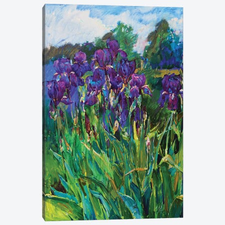 Iris Flowers Canvas Print #AIK34} by Andrii Kutsachenko Canvas Art