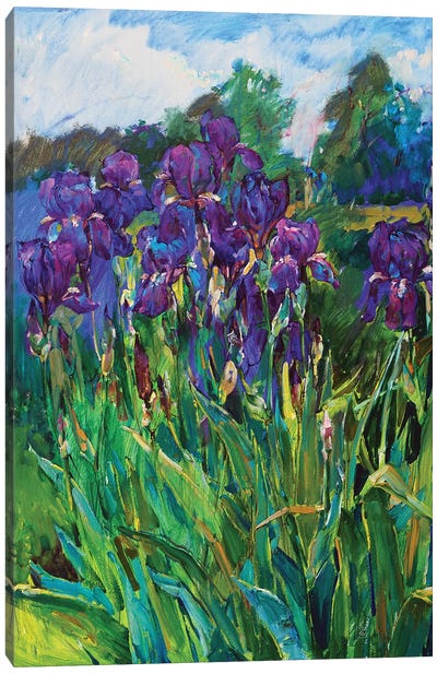 Iris Flowers Canvas Art Print - Andrii Kutsachenko