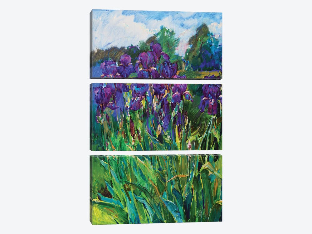 Iris Flowers by Andrii Kutsachenko 3-piece Art Print