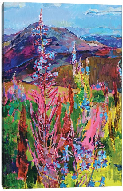 Mountain Flowers Canvas Art Print - Patchwork Landscapes