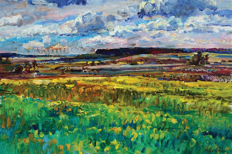 Landscape With Field And Sky