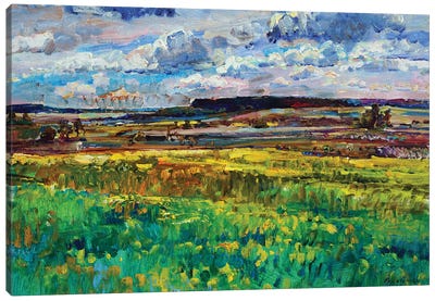 Landscape With Field And Sky Canvas Art Print - Andrii Kutsachenko