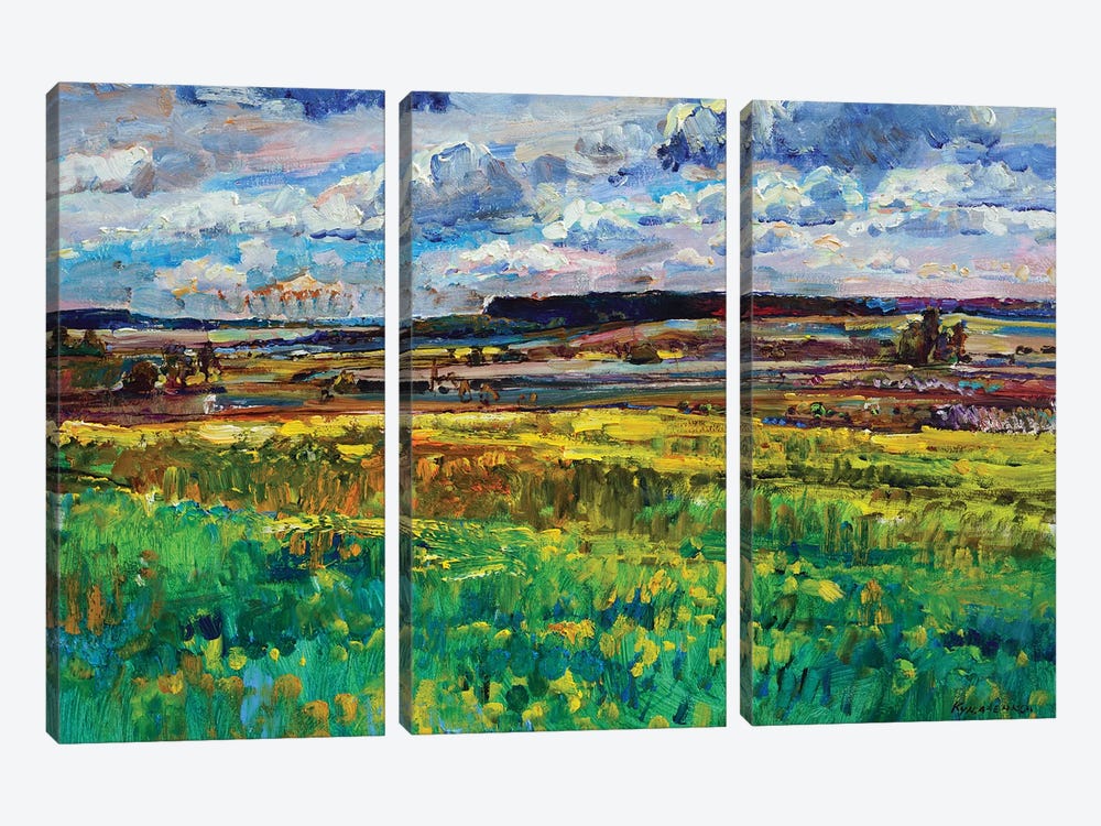 Landscape With Field And Sky by Andrii Kutsachenko 3-piece Canvas Art