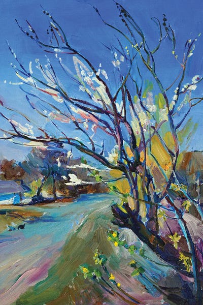 Spring Flowering Of Trees by Andrii Kutsachenko gallery poster