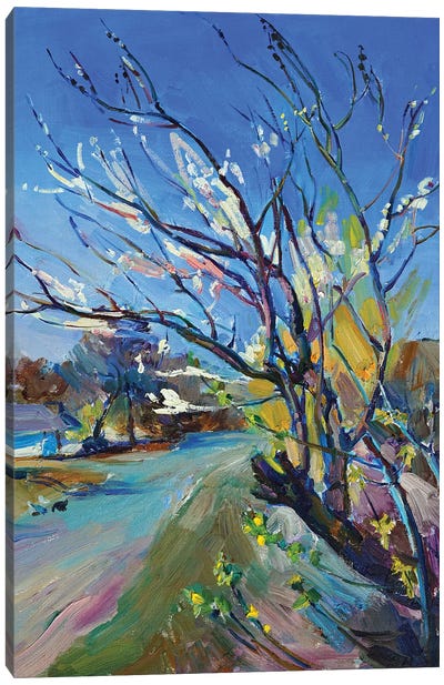 Spring Flowering Of Trees Canvas Art Print - Andrii Kutsachenko