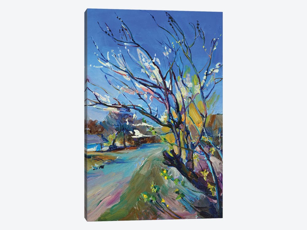 Spring Flowering Of Trees by Andrii Kutsachenko 1-piece Canvas Wall Art