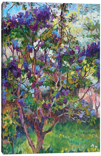 Lilac Landscape Canvas Art Print - Lilacs