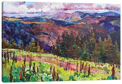 Mountain Landscape Canvas Art Print - Plein Air Paintings