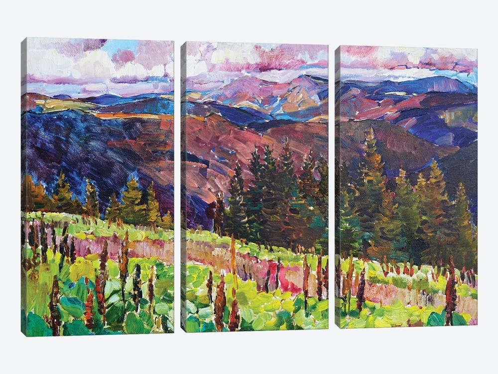 Mountain Landscape by Andrii Kutsachenko 3-piece Canvas Wall Art