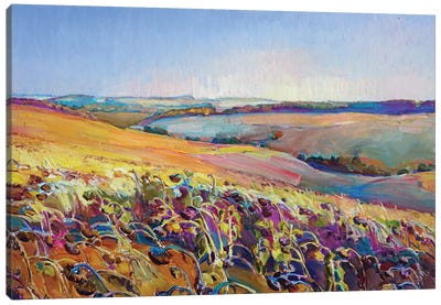 Field Of Sunflowers Canvas Art Print - Patchwork Landscapes