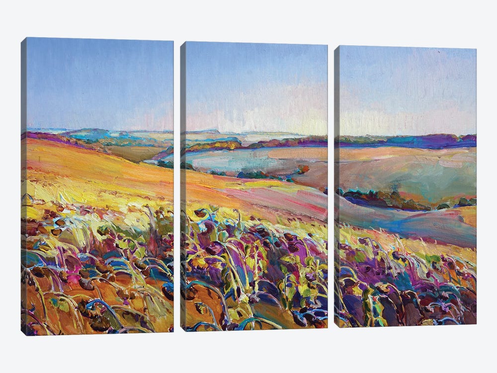 Field Of Sunflowers by Andrii Kutsachenko 3-piece Canvas Art Print