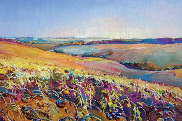 Landscapes In Bloom: Field Of Sunflowers by Andrii Kutsachenko