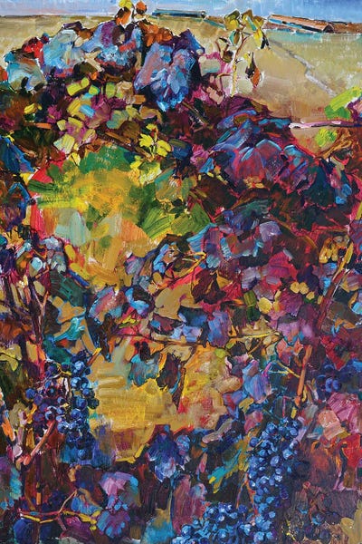 Colorful Grapes by Andrii Kutsachenko gallery poster