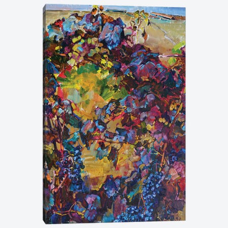 Colorful Grapes Canvas Print #AIK58} by Andrii Kutsachenko Art Print