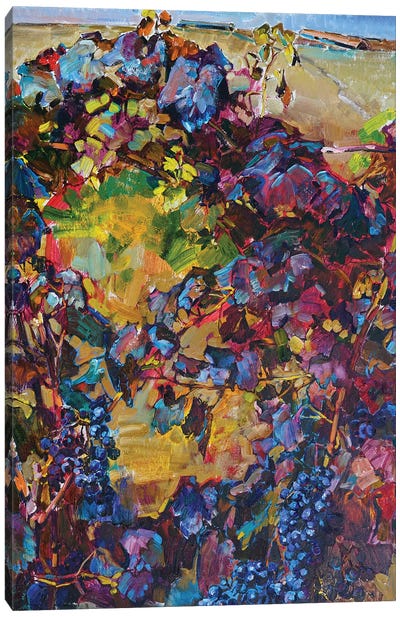 Colorful Grapes Canvas Art Print - Andrii Kutsachenko