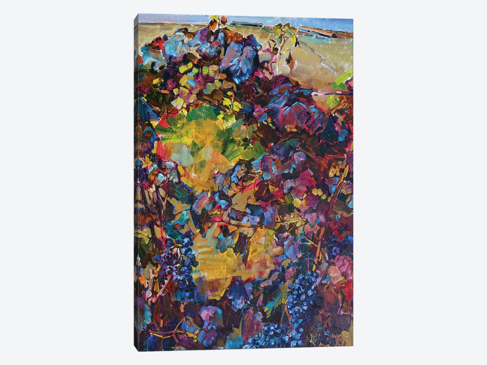 Colorful Grapes by Andrii Kutsachenko 1-piece Canvas Print