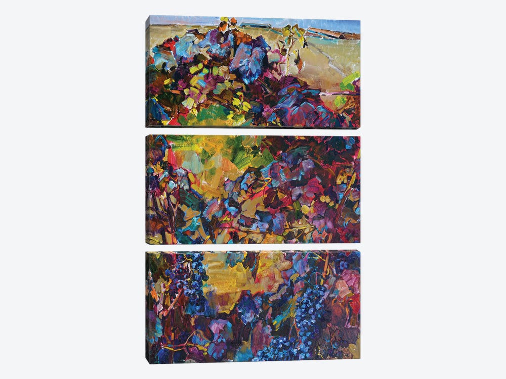 Colorful Grapes by Andrii Kutsachenko 3-piece Canvas Print