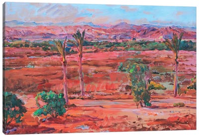 Red Desert Canvas Art Print - Pops of Pink