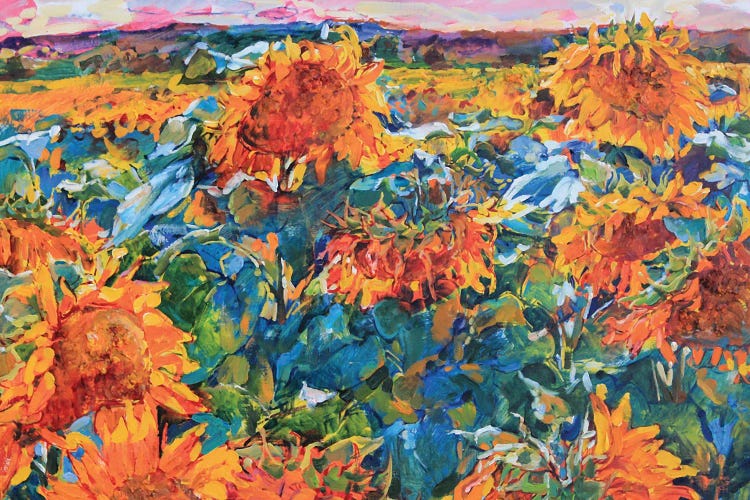 Field Of Sunflowers
