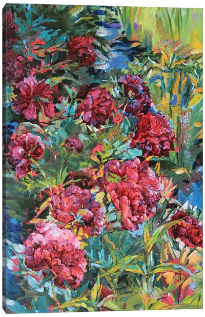Burgundy Peonies In The Garden Canvas Art Print - Andrii Kutsachenko