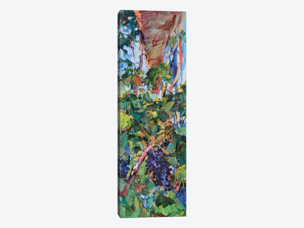 Grapes Near The House by Andrii Kutsachenko 1-piece Canvas Wall Art