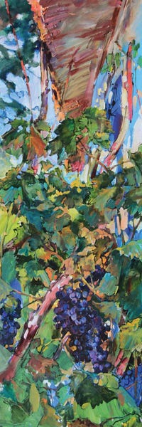 Vineyards: Grapes Near The House by Andrii Kutsachenko